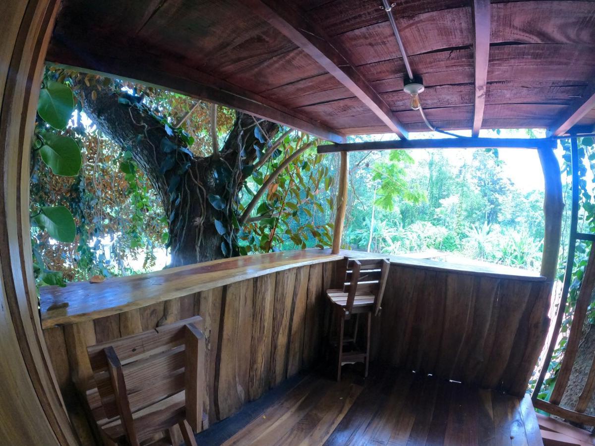 Tree House Samanea Lodge Puerto Limon Exteriér fotografie