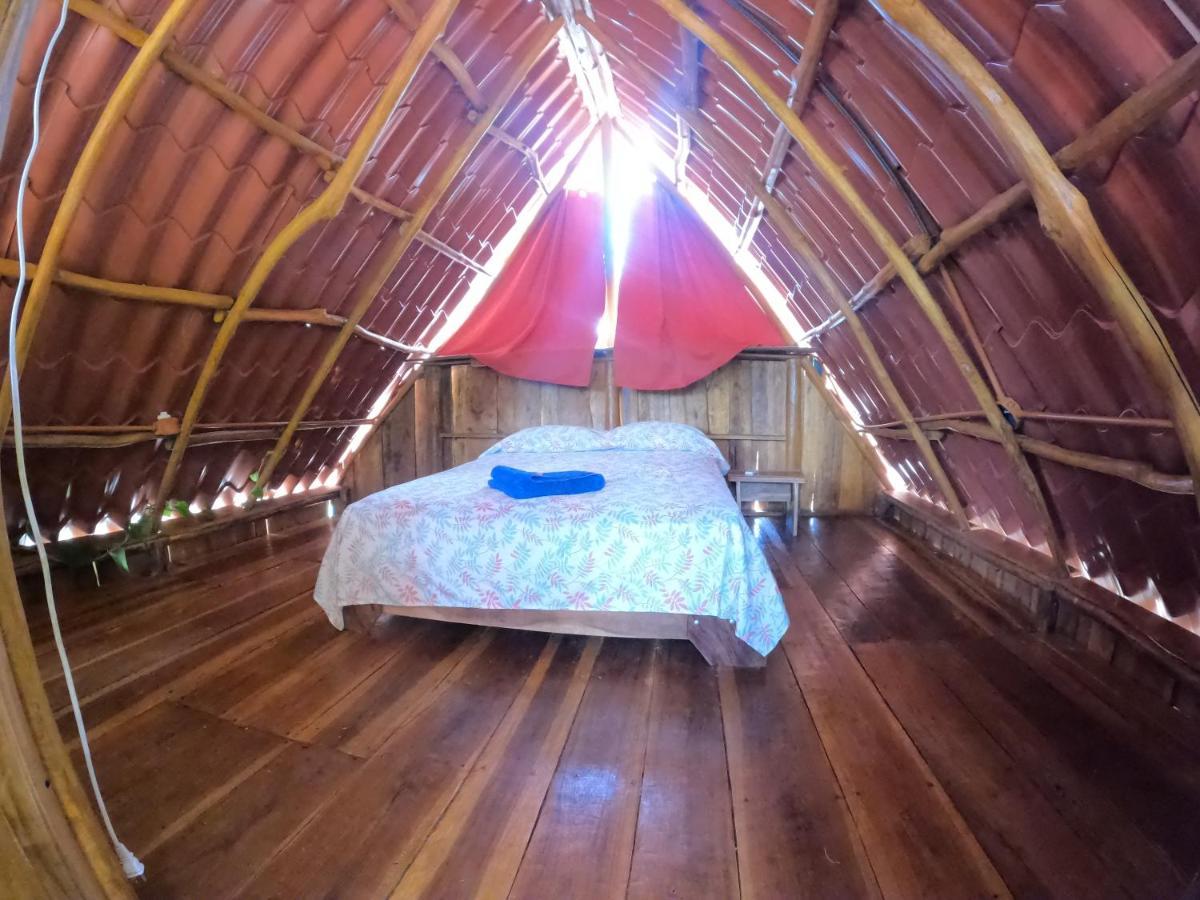 Tree House Samanea Lodge Puerto Limon Exteriér fotografie