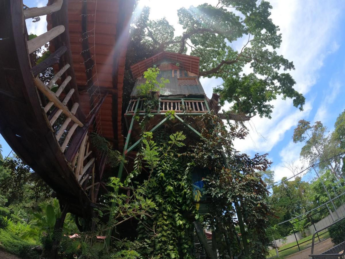 Tree House Samanea Lodge Puerto Limon Exteriér fotografie