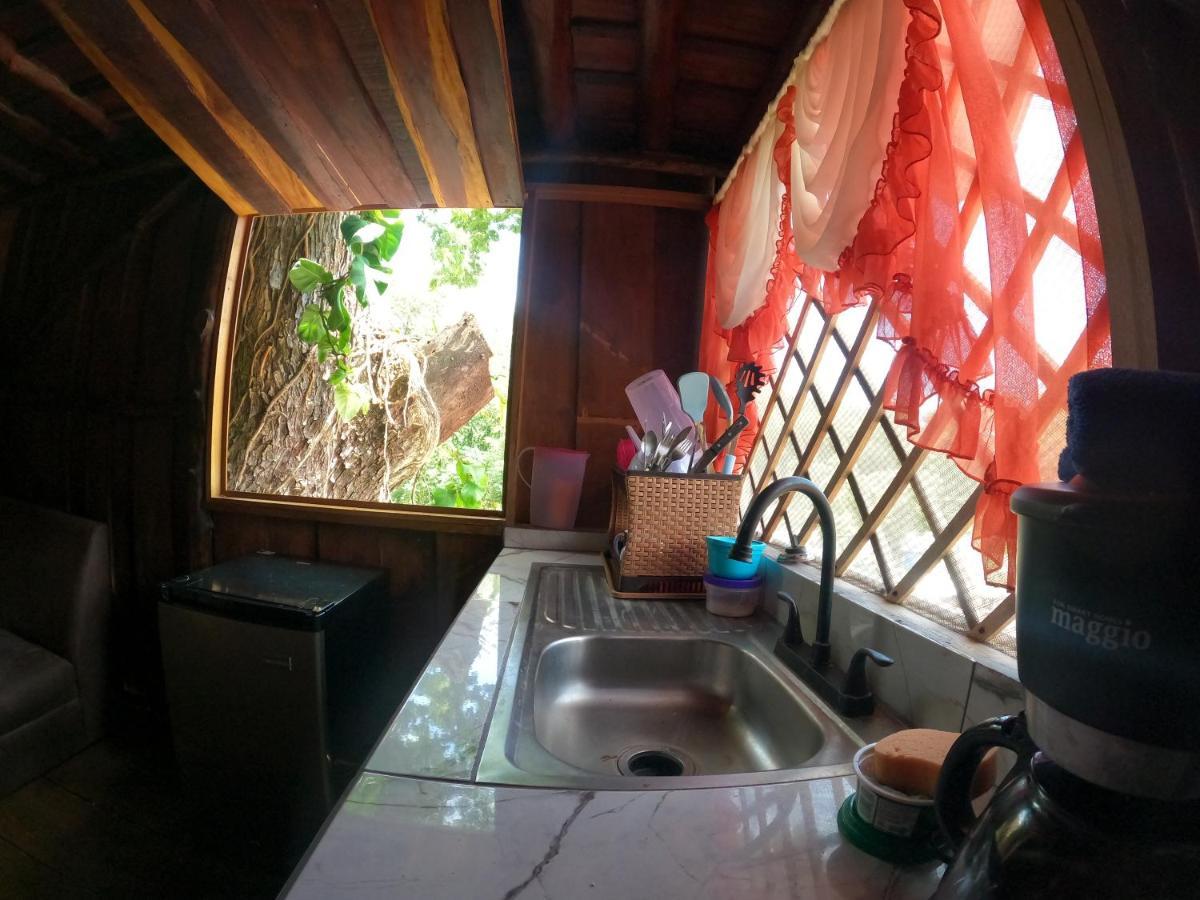 Tree House Samanea Lodge Puerto Limon Exteriér fotografie