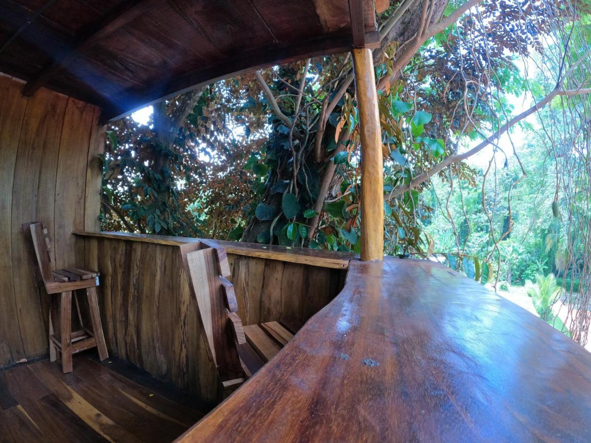 Tree House Samanea Lodge Puerto Limon Exteriér fotografie